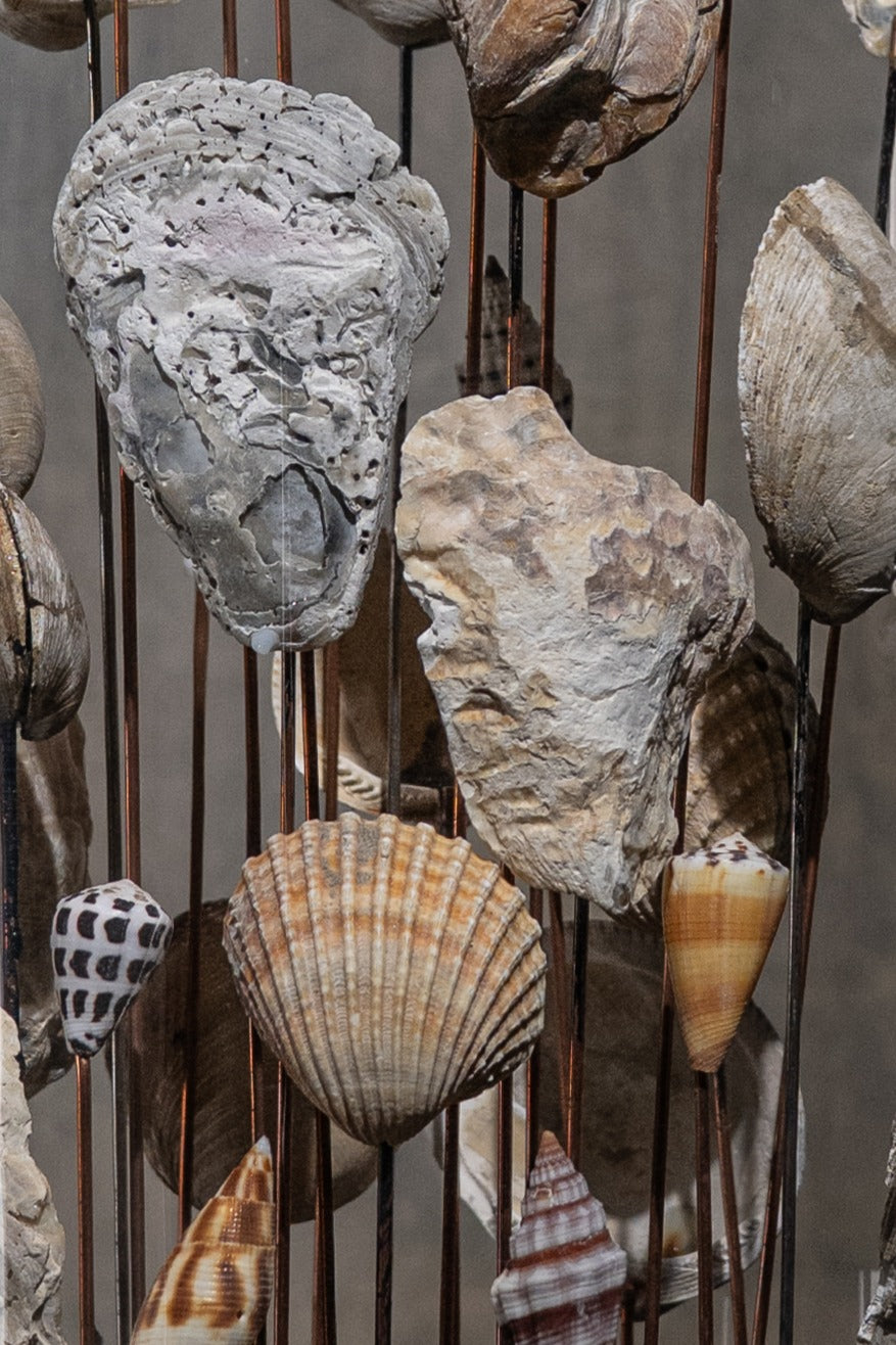 Bell Made From Shell GLASS BELL JAR - SHELLS – Porters Antwerp