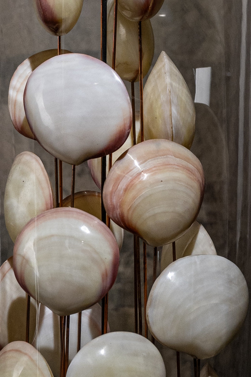 GLASS BELL JAR - SHELLS WHITE