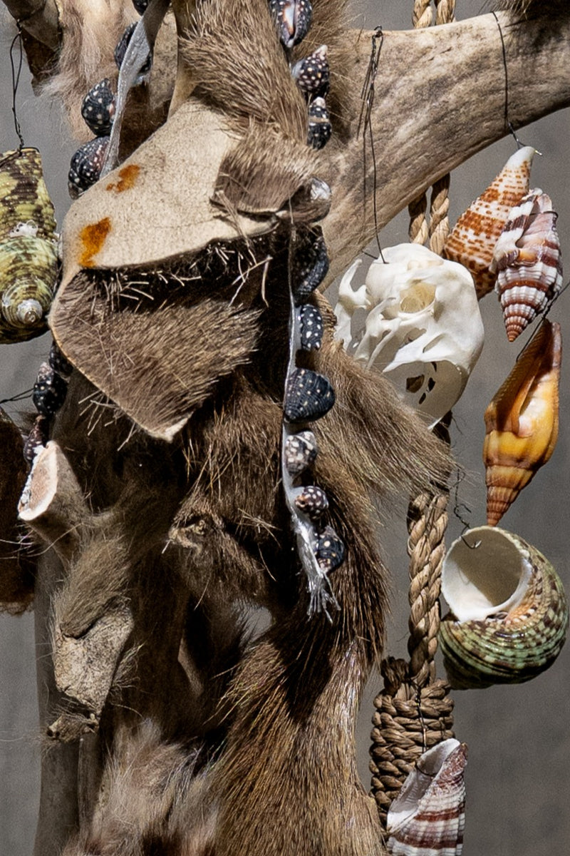 GLASS BELL JAR - BRANCH