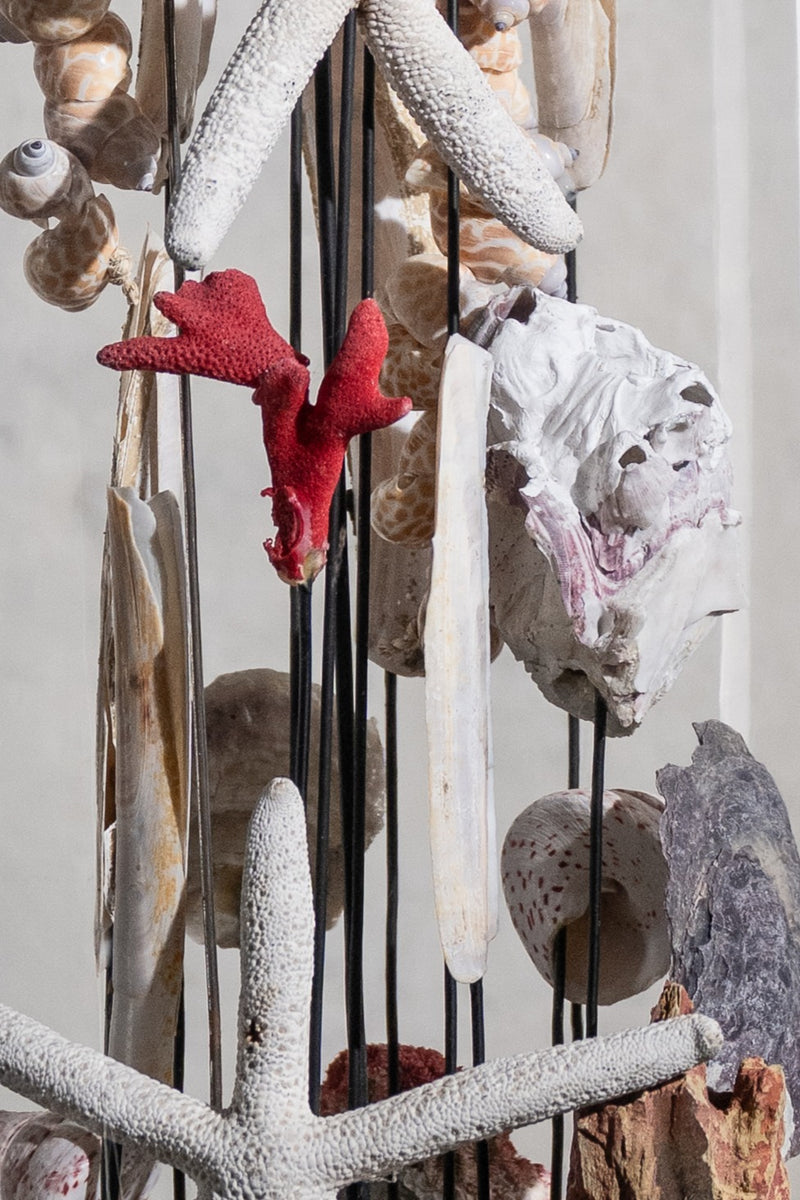 GLASS BELL JAR - STARFISH