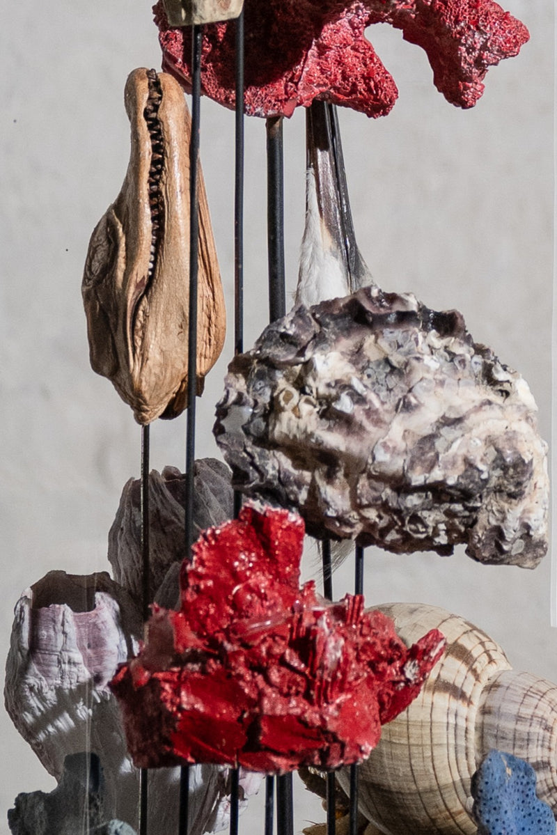 GLASS BELL JAR - CORAL