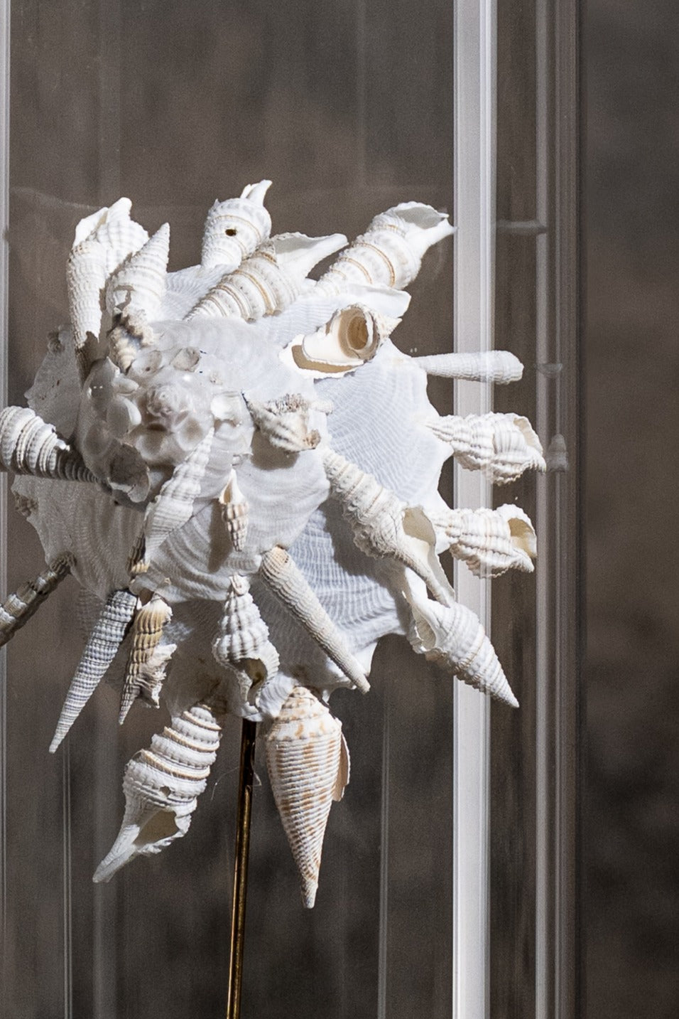 GLASS BELL JAR - SHELL WHITE