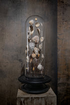 Cloche en verre - Coquillages