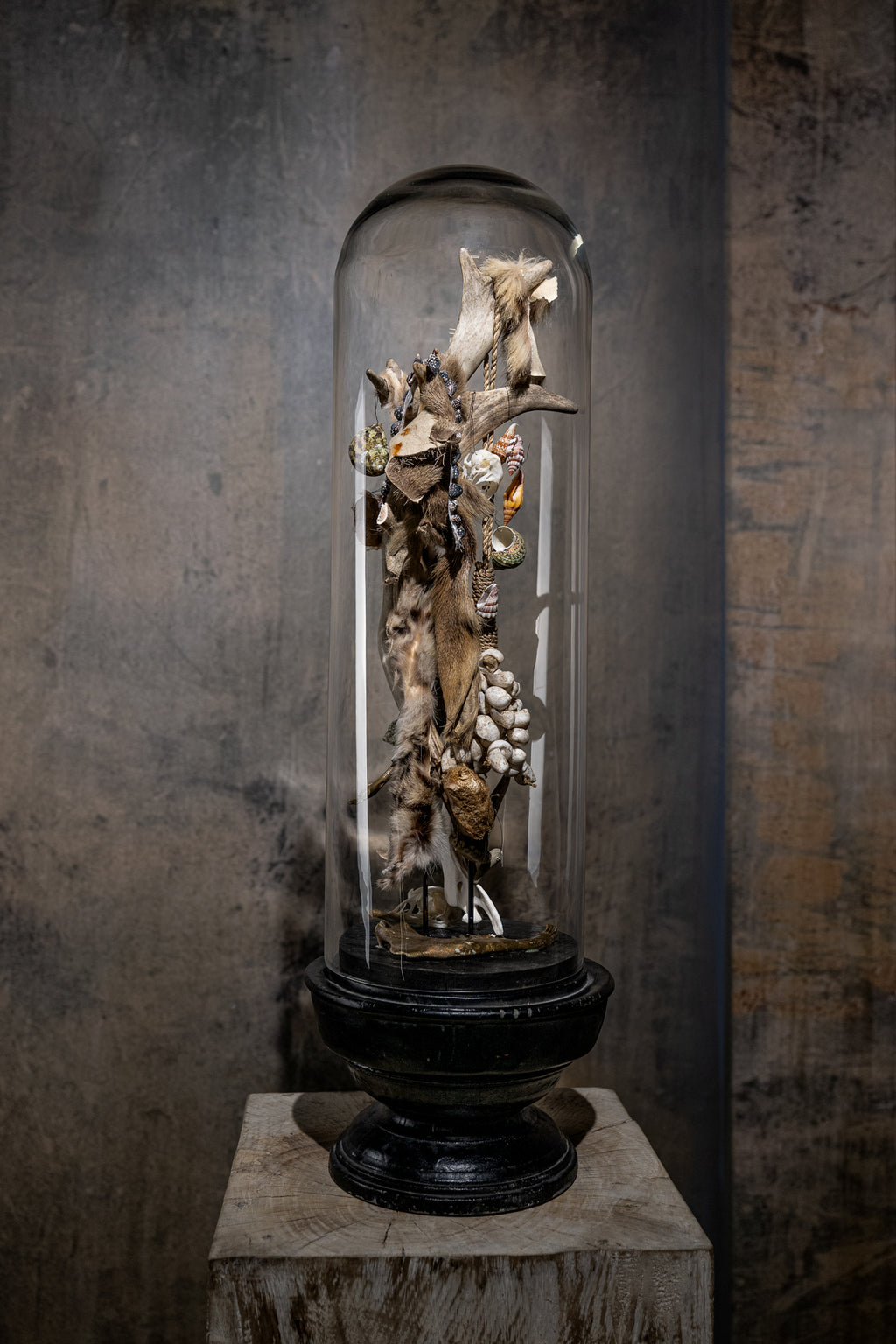 Cloche en verre - Branche