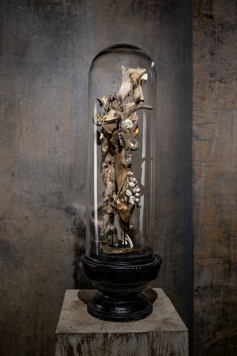 GLASS BELL JAR - BRANCH