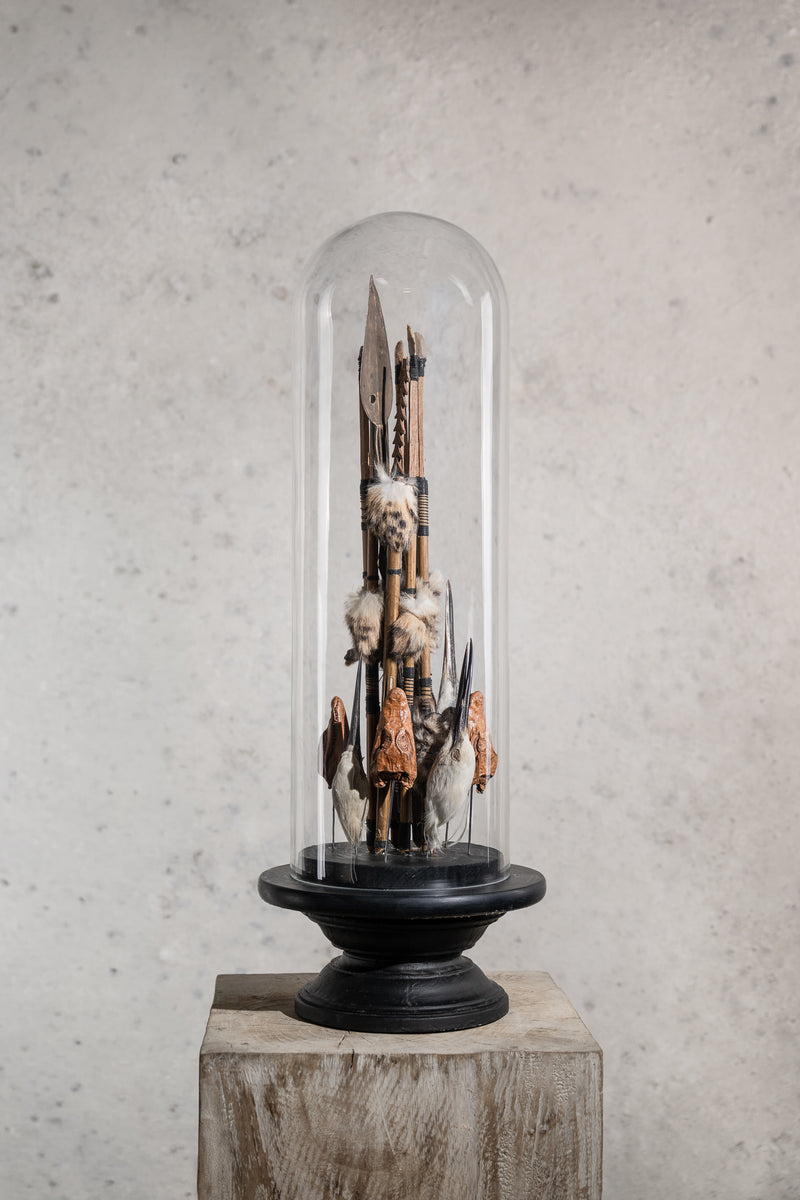 GLASS BELL JAR - BIRDS