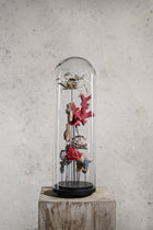 GLAZEN STOLP - KORAAL