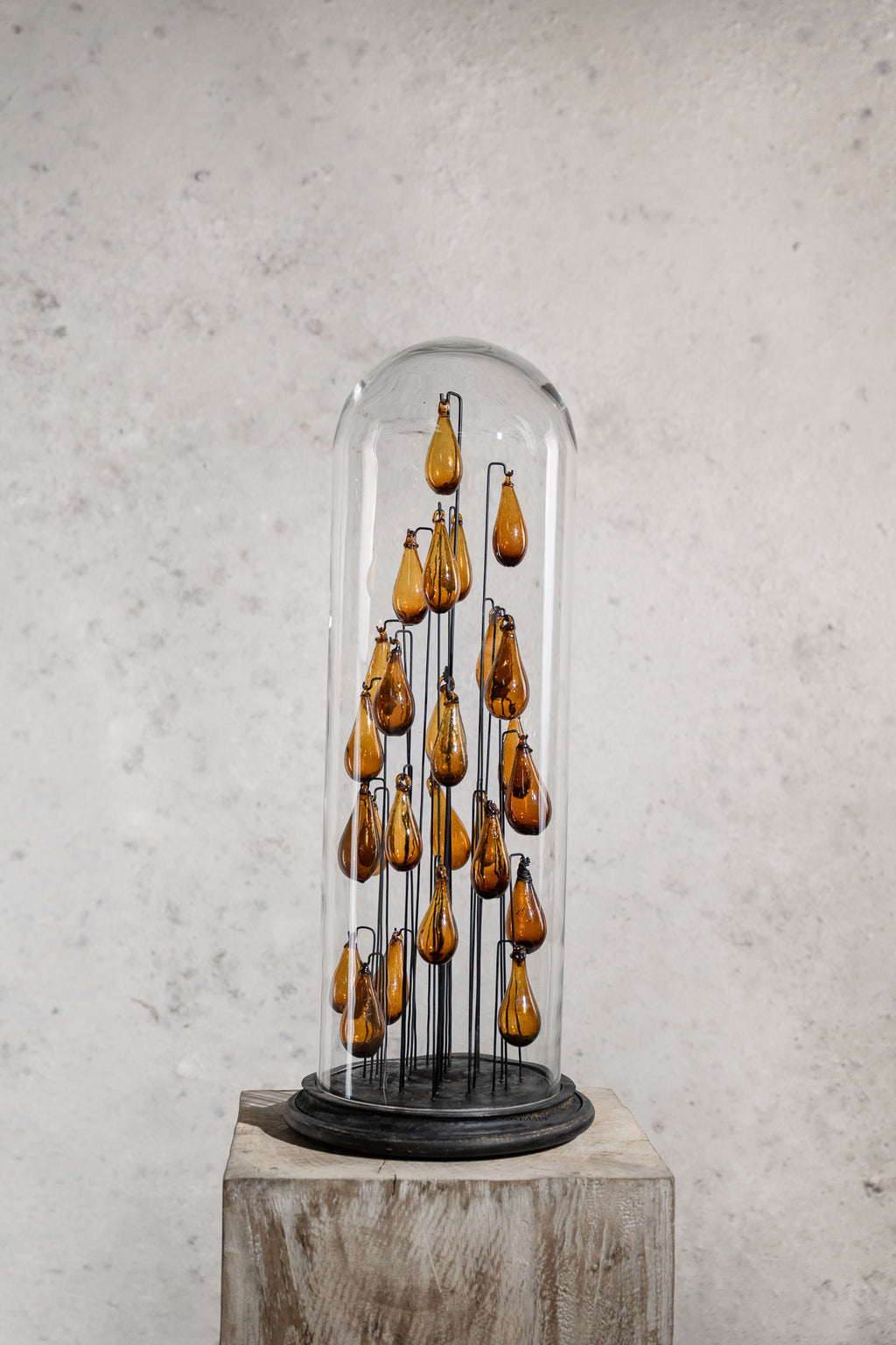 GLASS BELL JAR - DROPS GLASS