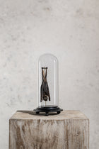 GLASS BELL JAR - BAT